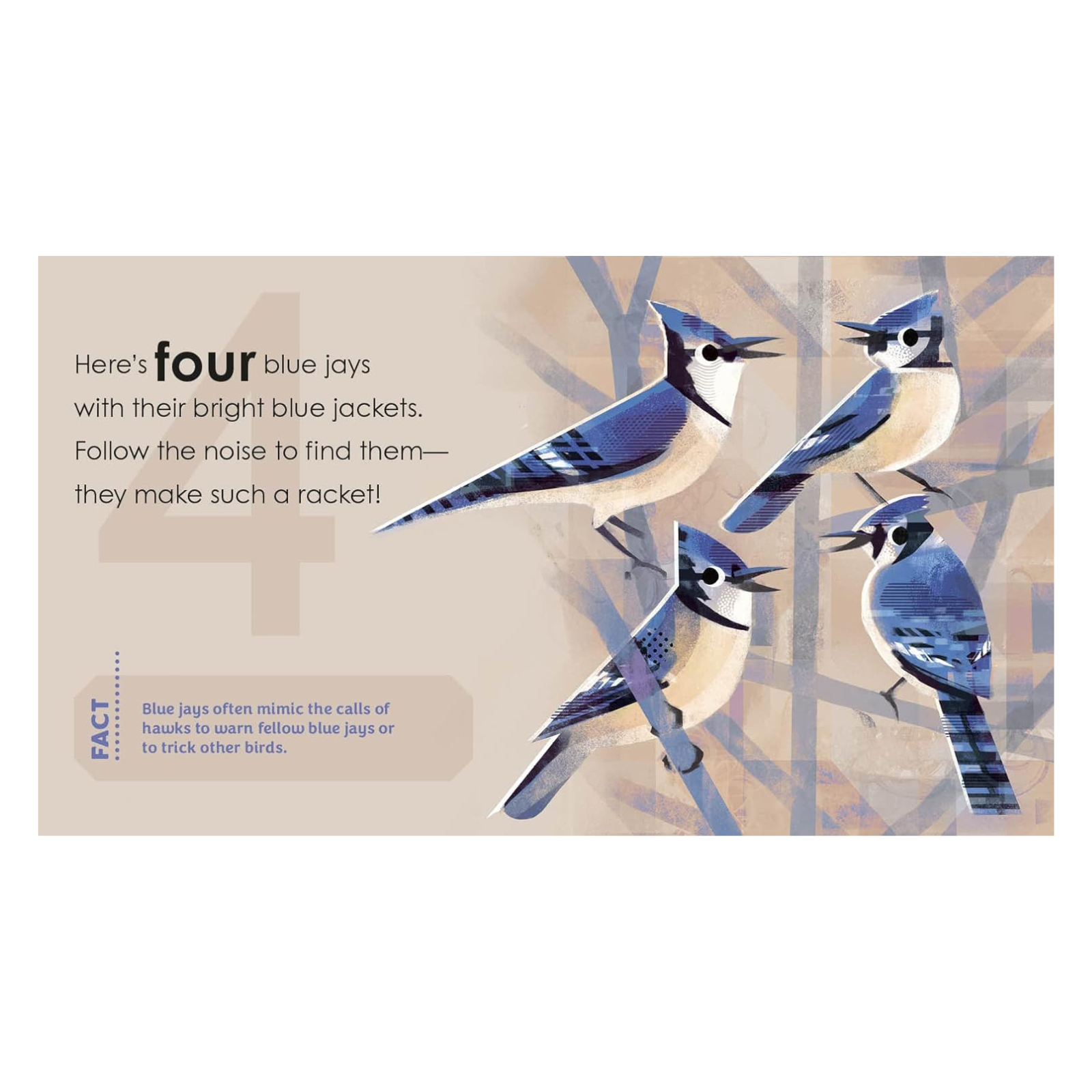'Birding For Babies' Backyard Birds Book - A Numbers Book
